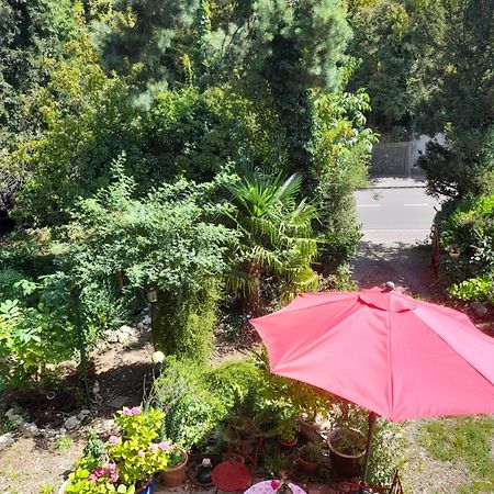 B&B Am Park Rheinfelden Exteriér fotografie