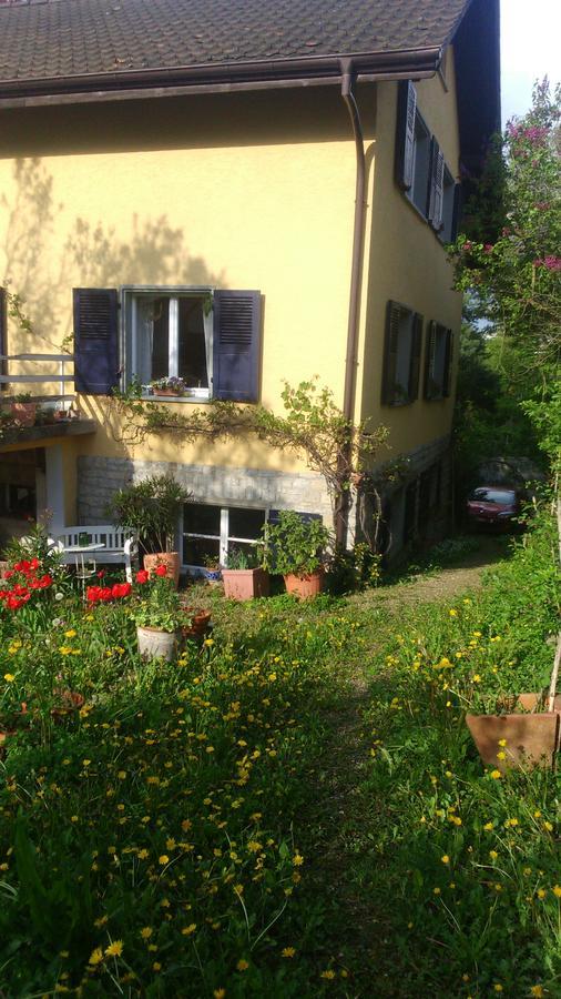B&B Am Park Rheinfelden Exteriér fotografie